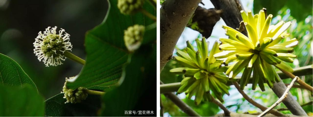 微信图片_20221014103848.png