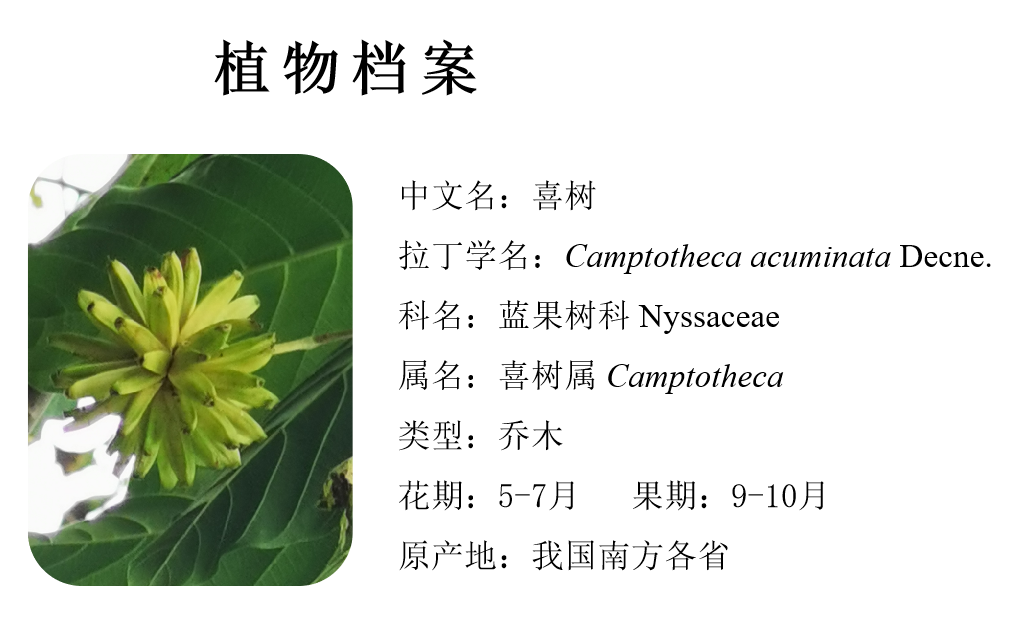 微信图片_20221014104501.png