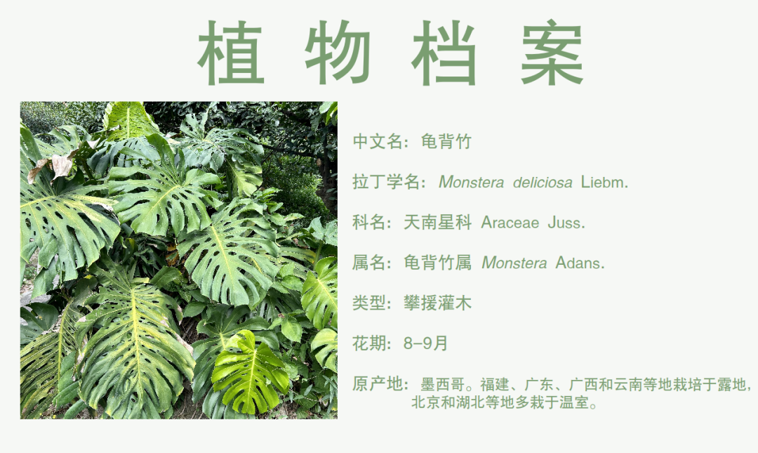 微信图片_20230109153421.png