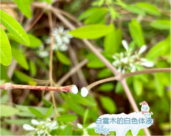微信截图_20230109161553.png