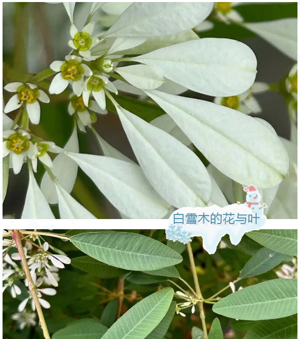 微信截图_20230109161845.png