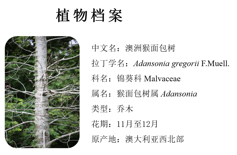 微信图片_20230111085625.png