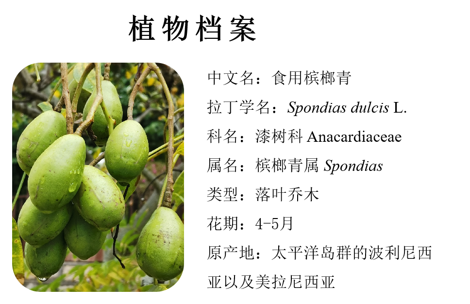 微信图片_20230113111242.png