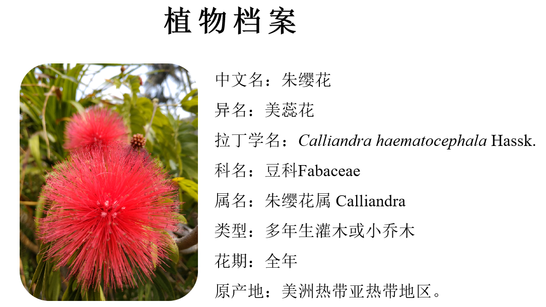 微信图片_20230918155739.png