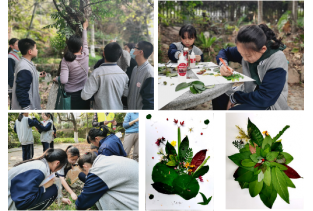 “感受植物魅力，拥抱自然”课程回顾