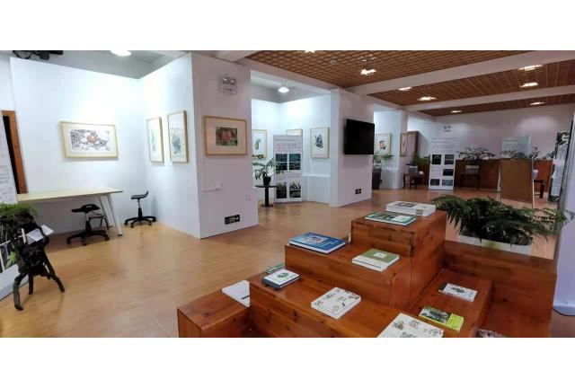 厦门华侨亚热带植物引种园成功举办“中国珍稀濒危蕨类植物展”科普活动
