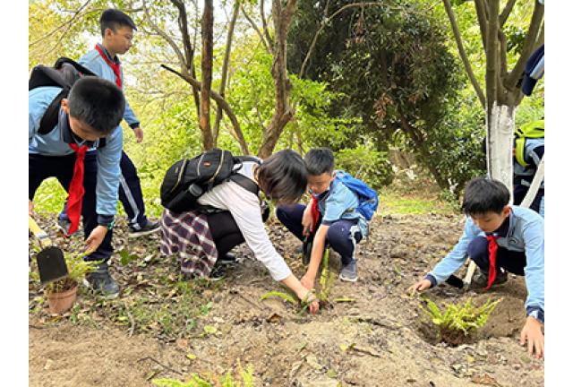 3.12 植树活动回顾