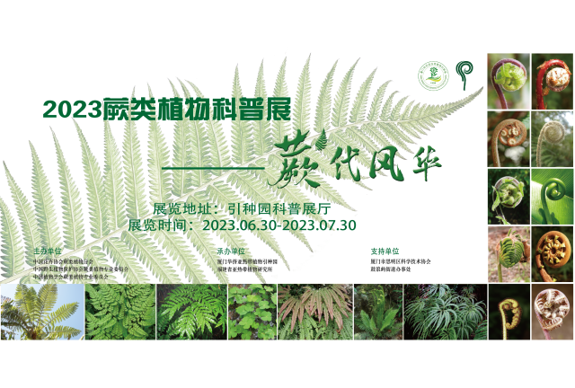 暑期打卡——“蕨代风华”蕨类植物科普展开幕啦