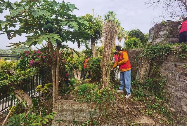 春和景明 共建美好家园 ----引种园“3·12”植树节活动
